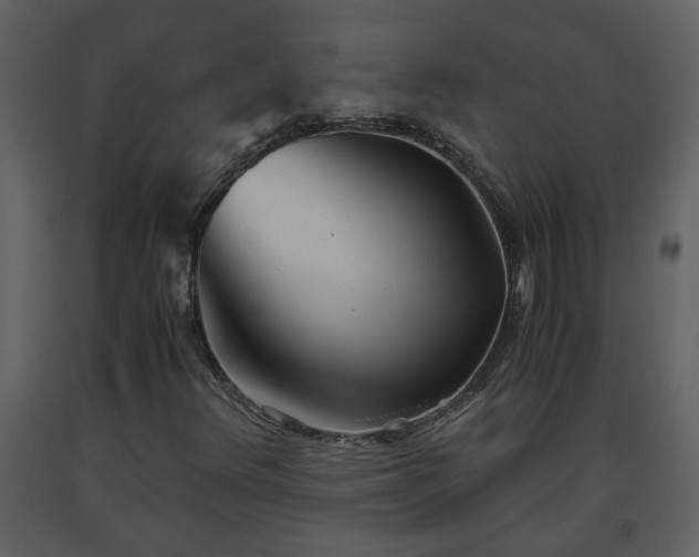 X0000093441348200710191032
