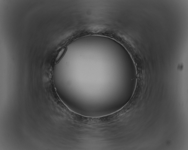 X0000093441349200710191032