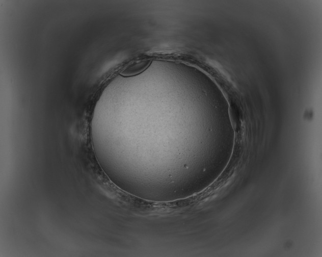 X0000093441350200710191032