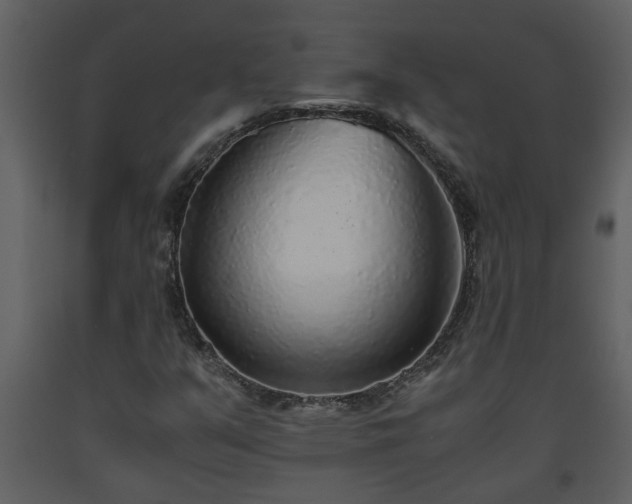X0000093441351200710191032