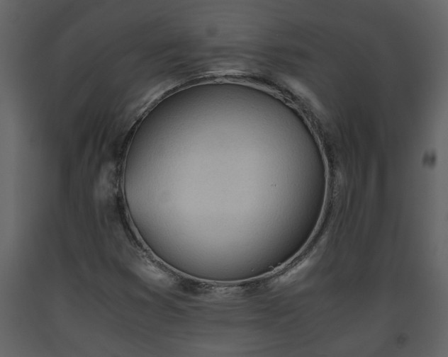 X0000093441353200710191032