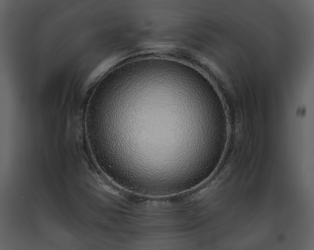 X0000093441354200710191032