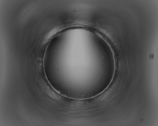 X0000093441355200710191032