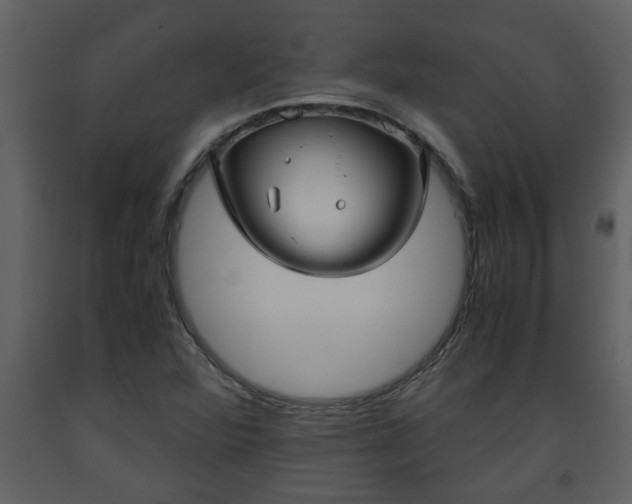 X0000093441360200710191032