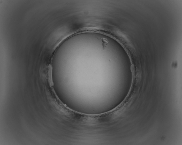 X0000093441361200710191032
