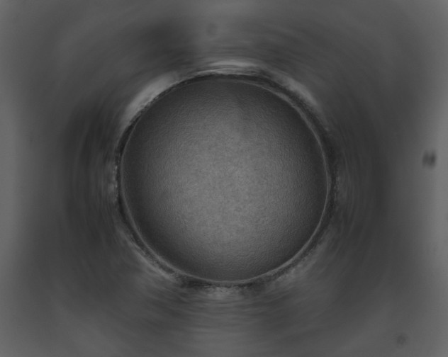 X0000093441362200710191032