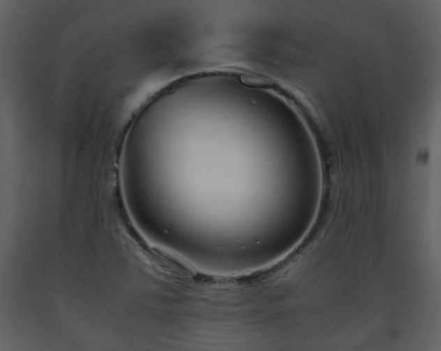 X0000093441363200710191032