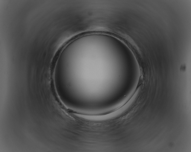 X0000093441364200710191031