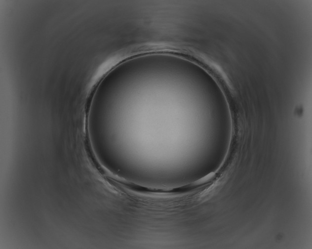 X0000093441365200710191031