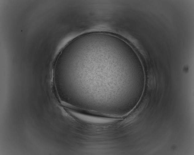 X0000093441366200710191031
