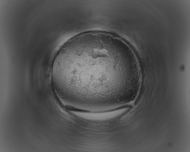 X0000093441367200710191031
