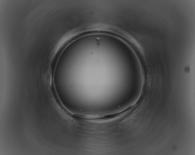 X0000093441368200710191031