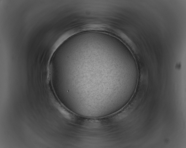 X0000093441370200710191031