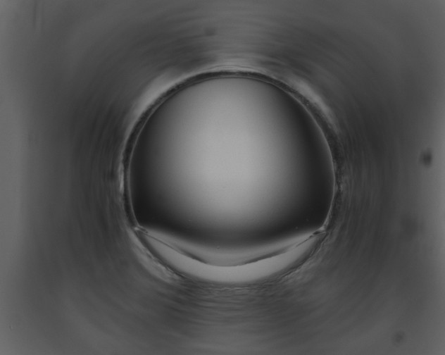 X0000093441372200710191031