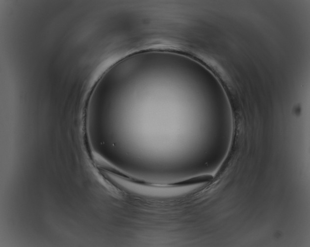 X0000093441375200710191031