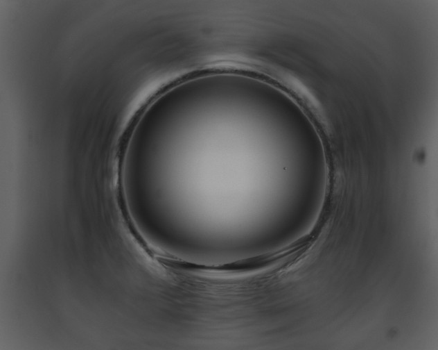 X0000093441376200710191031