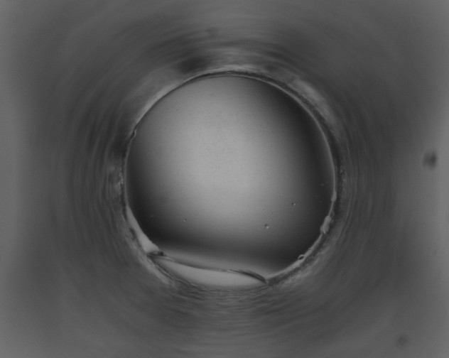X0000093441377200710191031