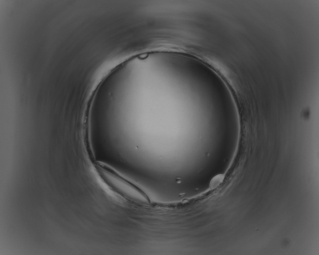 X0000093441379200710191031