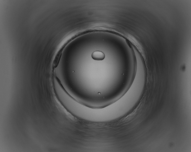 X0000093441384200710191031
