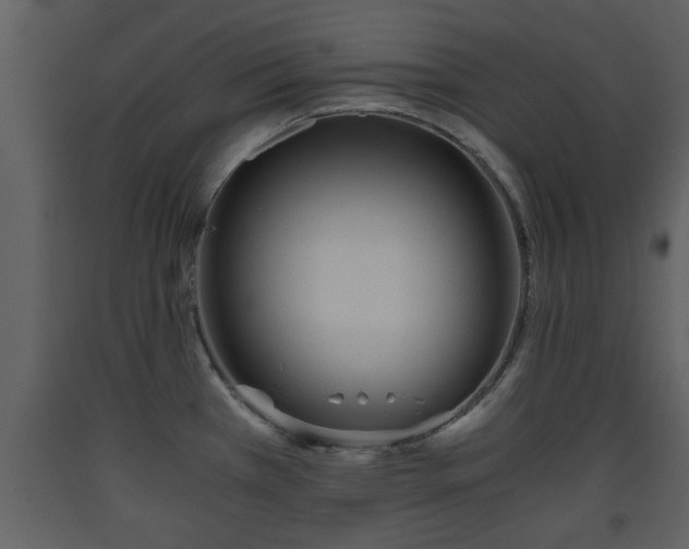 X0000093441385200710191031