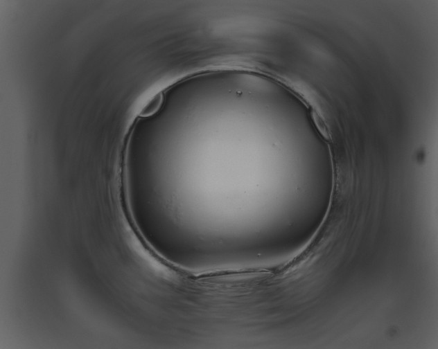 X0000093441387200710191031