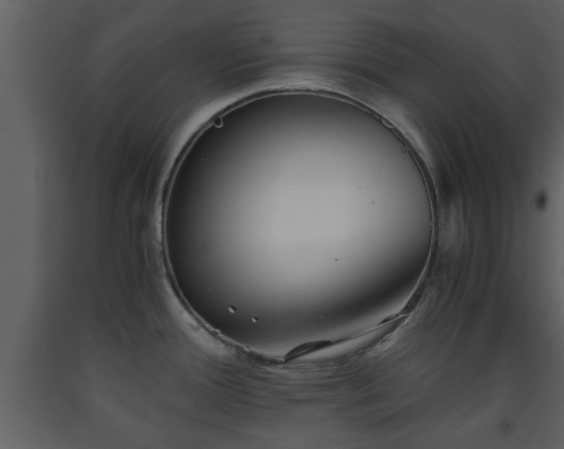 X0000093441388200710191031