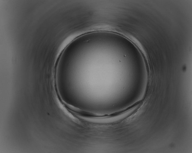 X0000093441389200710191031