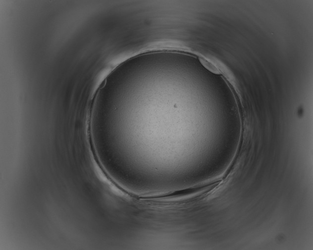 X0000093441390200710191031