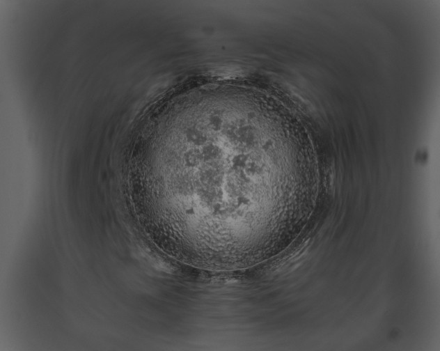 X0000093441393200710191030