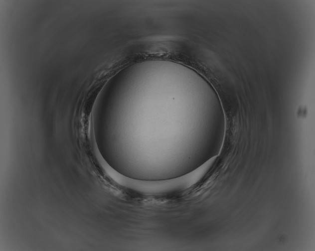 X0000093441394200710191030
