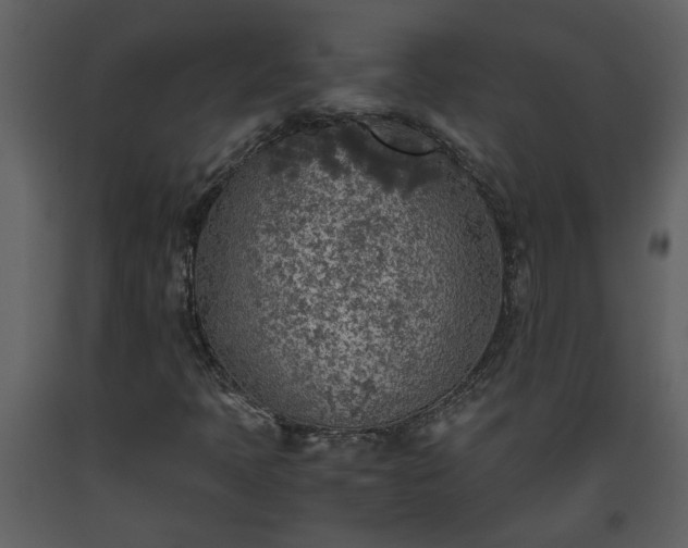 X0000093441397200710191030