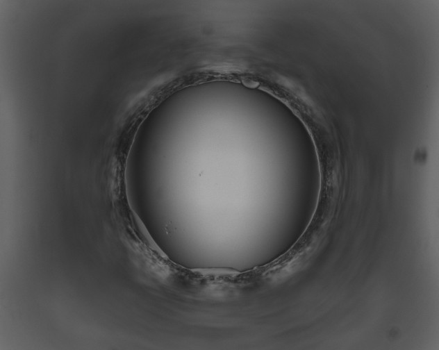 X0000093441398200710191030