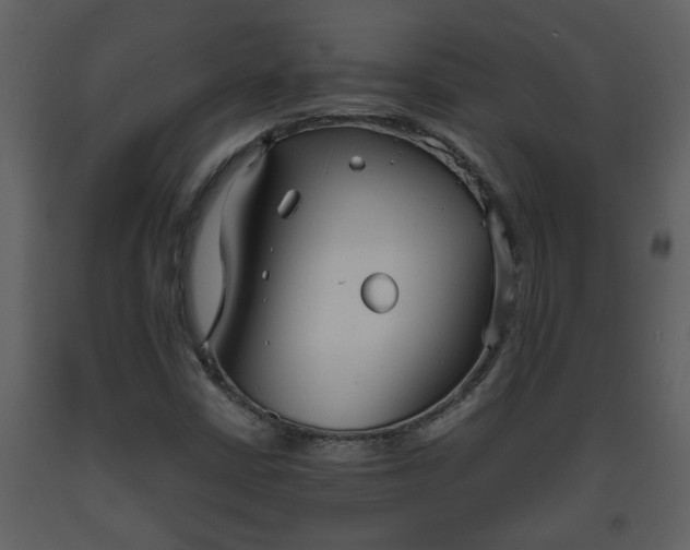 X0000093441402200710191030
