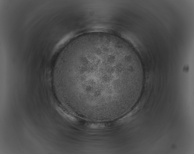 X0000093441403200710191031