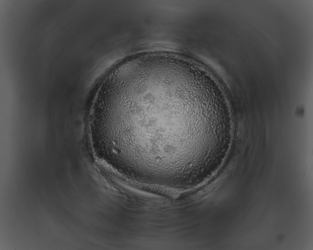 X0000093441407200710191031