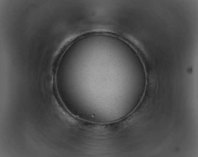 X0000093441408200710191031