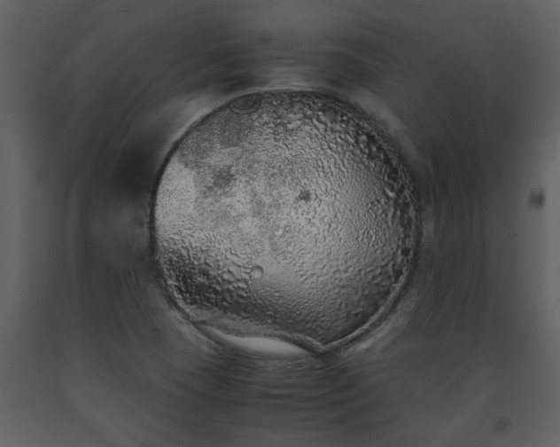 X0000093441409200710191031