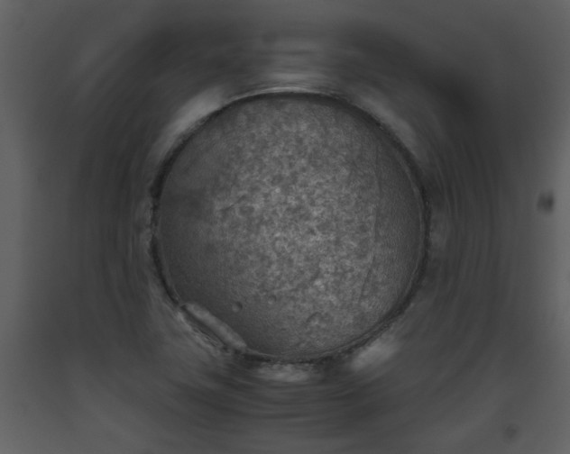 X0000093441411200710191031