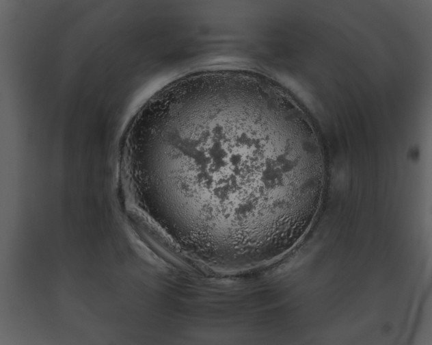 X0000093441413200710191031
