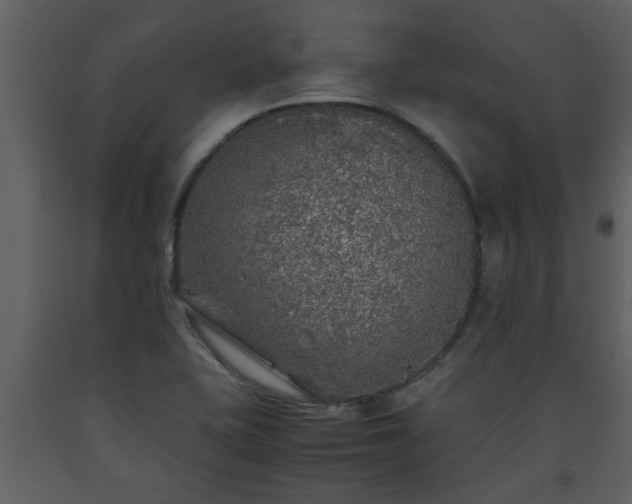 X0000093441415200710191031