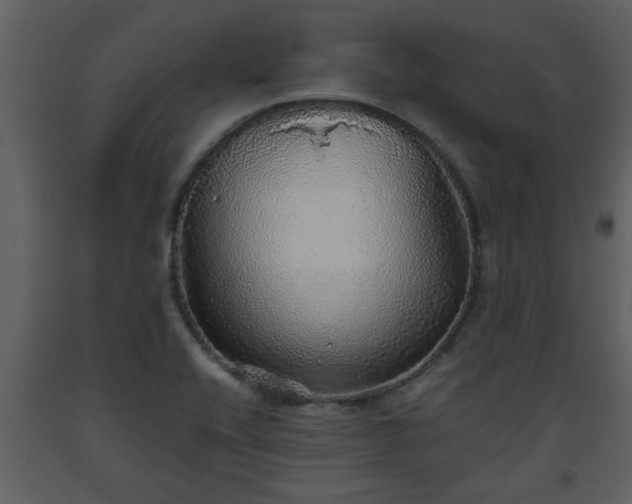 X0000093441416200710191031
