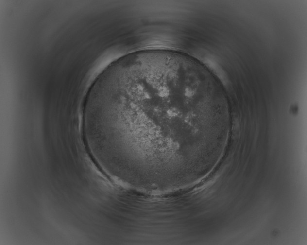 X0000093441419200710191031