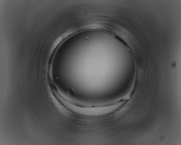 X0000093441426200710191031