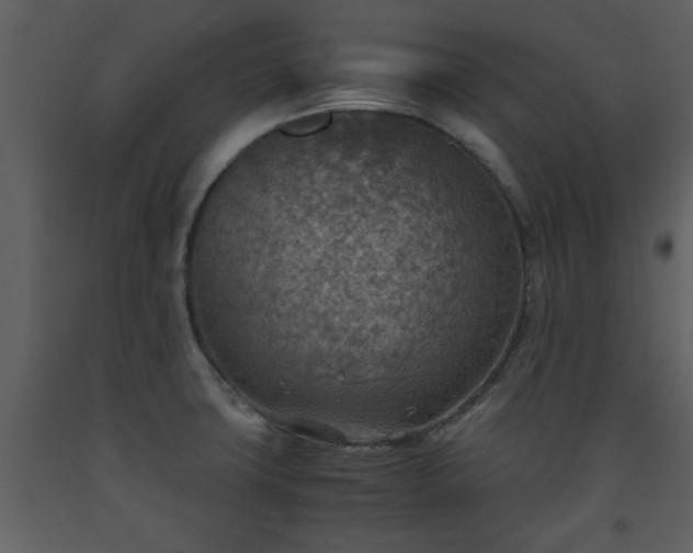 X0000093441427200710191031