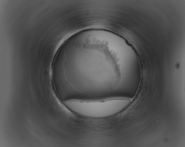 X0000093441428200710191031