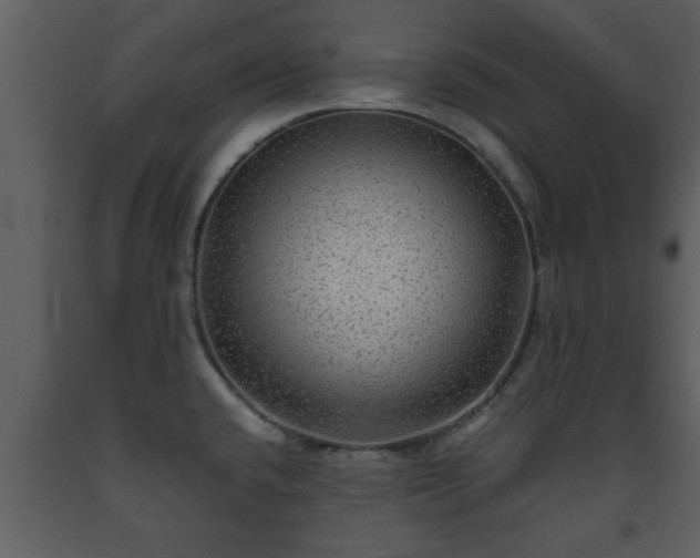 X0000093441432200710191031