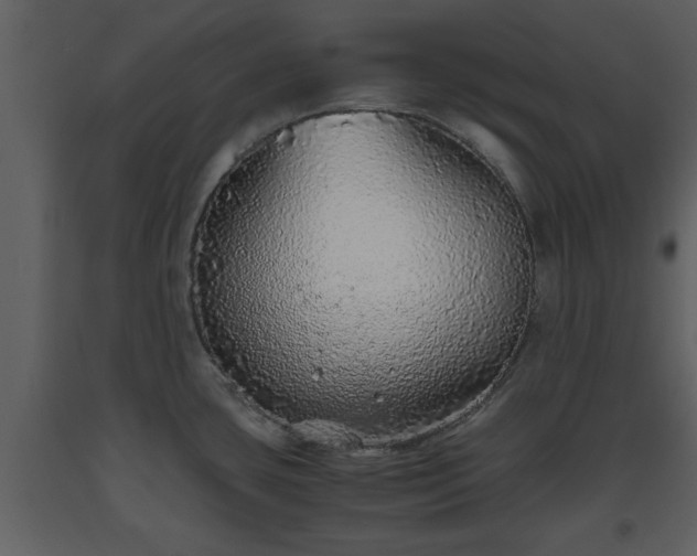 X0000093441435200710191031