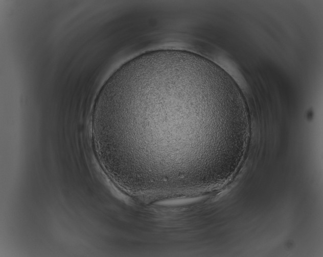 X0000093441436200710191031