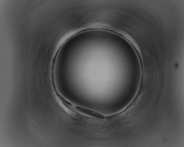 X0000093441437200710191031