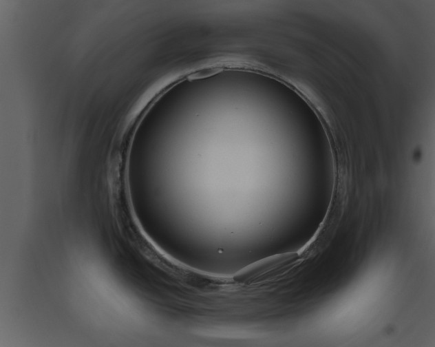 X0000093441438200710191031